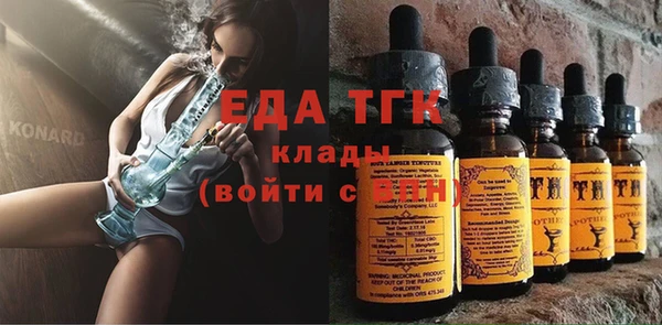индика Билибино