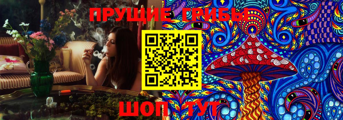 Псилоцибиновые грибы GOLDEN TEACHER Георгиевск