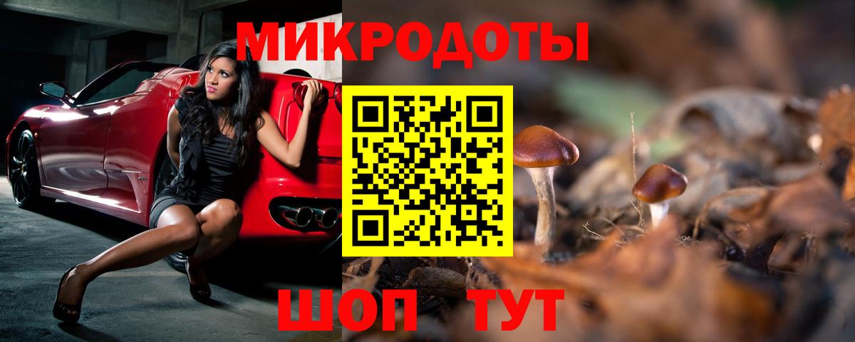 Псилоцибиновые грибы Psilocybe  Вход с VPN  наркотики  Георгиевск 