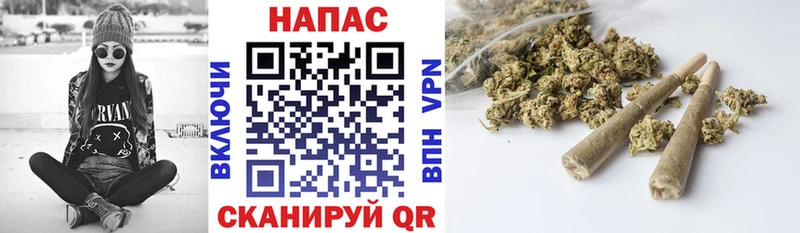 Каннабис тримм  продажа наркотиков  Георгиевск 